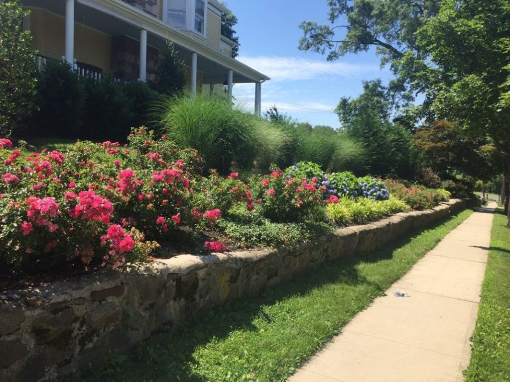 Jeff’s Landscaping Cranford Online