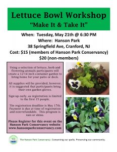 Lettuce Bowl Workshop At Hanson Park @ Hanson Park | Cranford | New Jersey | United States