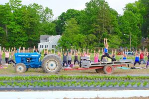 Farm Yoga Event: A Yoga Practice in the Fields at Dreyer Farms @ Dreyer Farms | Cranford | New Jersey | United States